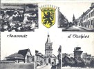 NORD PAS DE CALAIS - 59 - NORD - ORCHIES - CPSM GF ND - Multivues - Orchies