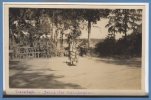 ASIE -- MALAISIA -- Soerabaja --  Carte Photo - RARE - Malaysia