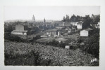 81 : Realmont  - Vue Générale  Côté Nord - Realmont