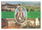 Haut Rhin - 68 - Orschwihr - Guebwiller - Femme Materne Haegelin Reine Des Vins D'alsace 1983 Vin - Guebwiller