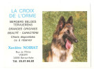 10 - Bar Sur Aube - La Croix De L'orme - Vente Chiens Bergers Belges Tervuerens Chiots Chien - Bar-sur-Aube