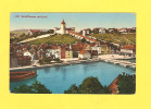 Postcard - Switzerland, Schauffhausen      (20555) - Hausen Am Albis 