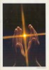 Postogram 77-G :1994: ## Handen / Mains ## : HANDEN,MAINS,HANDS,LICHT,LUMIÈRE,LIGHT, - Postogram