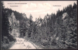 1003 - Alte Ansichtskarte - Scharzwassertal Nonnenfelsen Teufelsmauer Pobershau Gel. 1917 TOP - Marienberg