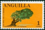 ANGUILLA, TERRITORIO BRITANNICO, FLORA, 1967, FRANCOBOLLO NUOVO (MNH**) - St.Christopher, Nevis En Anguilla (...-1980)