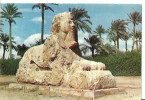 Egitto (Egypt) The Sphinx Of Sakkara, Sfinge Di Sakkara - Sfinge