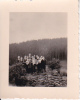 Foto Gruppe Mit Musikinstrumenten Im Wald - 4*5,5cm - Ca. 1940 (19004) - Ohne Zuordnung