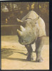 RHINOCEROS RHINO NASHORN AFRICA OLD POSTCARD #27 - Rhinozeros