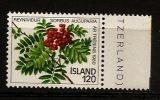 Islande Island 1980 N° 507 ** Année De L'arbre, Sorbus Aucuparia, Grappe, Branche, Sorbier, Alisiers, Plante, Fruit - Ongebruikt