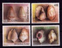 (016) Cape Verde  Shells / Coquillages / Muscheln   ** / Mnh  Michel 872-75 - Kaapverdische Eilanden