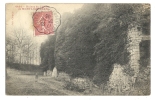 Cp, 77, Ruines Du Château De Montaifuillon, Voyagée 1905 - Other & Unclassified