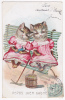 Carte Illustrée - Chats Humanisés "Repos Bien Gagné"assis Sur Le Banc, Après Les Travaux Du Jardin - Circulé 1906 - Animales Vestidos