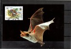 BULGARIE    Carte   Maxi   WWF  Panda  Chauve Souris - Bats