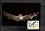 BULGARIE    Carte   Maxi   WWF  Panda  Chauve Souris - Bats