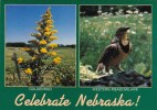 Celebrate Nebraska Omaha Nebraska - Omaha