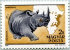 N° Yvert 439 - Timbre De Hongrie (1981) - Poste Aérienne - MNH - Rhinocéros (JS) - Ongebruikt