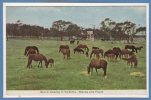 OCEANIE Australie - Victoria - Sonstige & Ohne Zuordnung