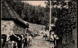 DB5433 - ST. CERGUÉ - SUR LE CHEMIN DU VIEUX CHÂTEAU - Saint-Cergue