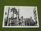 Egypt Alexandrie Mosque Islam Unused Postcard  (re203) - Islam