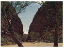 (468) Australia - NT - Alice Spring´s Simpson's Gap Park - Alice Springs