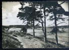Delcampe - Cpsm Du 22 Lézardrieux L' île à Bois ------------   Paimpol   OCT26b - Paimpol