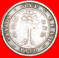 • PALM TREE: CEYLON ★ 1 CENT 1870! VICTORIA (1837-1901)!  LOW START★ NO RESERVE! - Sri Lanka