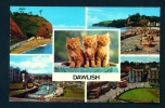 ENGLAND  -  Dawlish  Multi View  Used Postcard As Scans - Altri