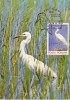 29780- BIRDS, GREAT EGRET, MAXIMUM CARD, 1985, ROMANIA - Pelicans