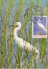 29780- BIRDS, GREAT EGRET, MAXIMUM CARD, 1985, ROMANIA - Pelikanen