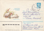 29870- BIRDS, PELICANS, COVER STATIONERY, 1984, RUSSIA - Pélicans