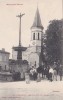 CPA Animée (81)  DOURGNE La Fontaine Et L' Eglise - Dourgne