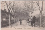 83 - Salernes - Avenue De La Gare - Editeur: Olive N° 560 - Salernes