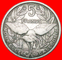 · KAGU BIRD: NEW CALEDONIA ★ 5 FRANCS 1952! LOW START★NO RESERVE! - Nouvelle-Calédonie