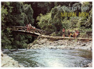 (636) Australia - QLD - Natural Arch River - Atherton Tablelands