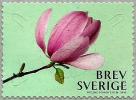 Sweden - 2015 - Flowers - Magnolias - Mint Self-adhesive Coil Stamp - Neufs