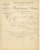 COURRIER BONHOMME JEUNE  CEREALES ET FARINES ETRANGERES  25 BOULEVARD DE PLAINPALAIS GENEVE SUISSE  DU 17/11/ 1897 - Suiza