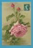 CPA 243 Fantaisie Fleur Roses Illustrateur Catharina KLEIN - Klein, Catharina