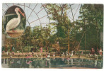 FRA CARTOLINA POST CARD STATI UNITI D’AMERICA U.S.A. UNITED STATES OF AMERICA NEW YORK – INTERIOR OF FLYING CAGE ZOOLOGI - Parks & Gärten