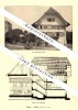 Photographien / Ansichten ,1917, Erlach - Cerlier , Prospekt , Fotos , Architektur !!! - Cerlier
