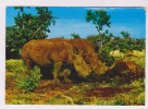 CPM RHINOCEROS D AFRIQUE DE L EST KENIA (voir Timbre) - Rinoceronte