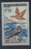 St PIERRE & MIQUELON : Y&T** N° 364 " Eider " - Nuevos