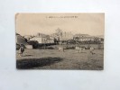 Carte Postale Ancienne : LEGE : Vue Générale, Coté Est, Vaches, En 1913 - Legé