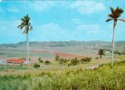 Delcampe - Cuba - Habana Havana - Picadura Valleys Cattle Breeding Project - Kuba
