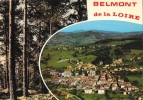 Belmont De La Loire - Multivues (2 Vues) - Vue Générale Aérienne Et Forêt - Edition Cellard - Belmont De La Loire