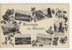 Carte Postale Ancienne Fantaisie Grigny - Souvenir - Multivues, Fleurs - Grigny