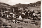 5948 SCHMALLENBERG - OBERKIRCHEN, Gasthof Schütte - Schmallenberg