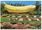 (644) Australia - NSW - Coffs Harbour Big Banana - Coffs Harbour