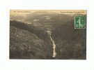 CPA 43 MONTFAUCON Env. Panorama Des Gorges Du Pont De La Vache - Montfaucon En Velay