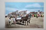 59 : Bray Dunes - La Plage Et Promenade Des Enfants  ( Belle Animation ) - Bray-Dunes