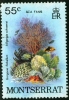 MONTSERRAT, COLONIA BRITANNICA, FAUNA, 1980, FRANCOBOLLO USATO - Montserrat